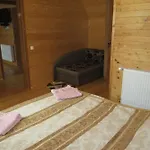 Guest house Bilyy Kamin *