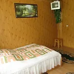 Guest house Bilyy Kamin Tatariv